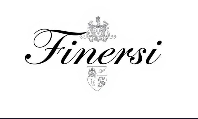 Finersi logo